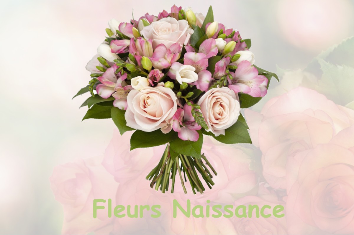 fleurs naissance EGLISENEUVE-DES-LIARDS